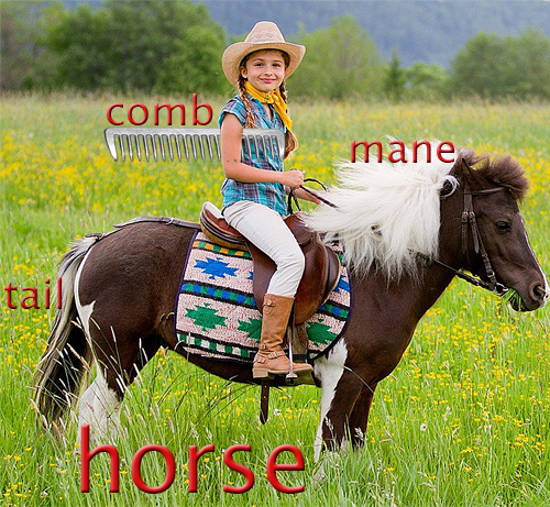 My horse - Лошадка. Детские стихи А. Барто на английском.